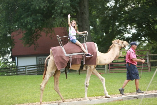 Grant's Farm